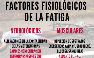 Factores fisiológicos de la fatiga