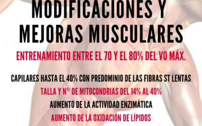 Adaptaciones musculares