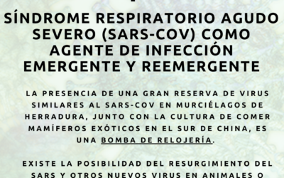 Ciencia y SARS-CoV