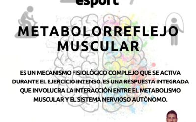 El metabolorreflejo muscular