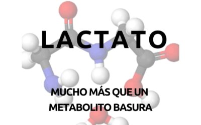 Lactato: mucho más que un metabolito «basura».