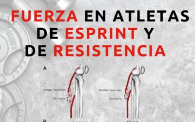 Fuerza en sprinters y larga distancia