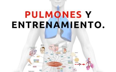 Pulmones y entrenamiento