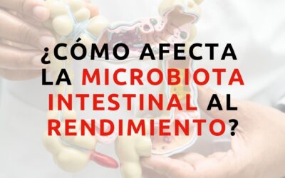 Microbiota intestinal y rendimiento