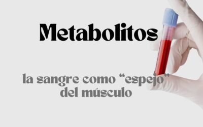 Metabolitos: la sangre como espejo del músculo.